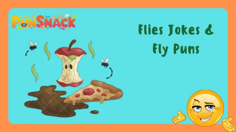 Flies Jokes & Fly Puns
