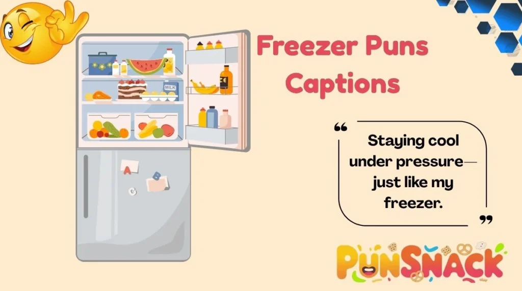 Freezer Puns Captions