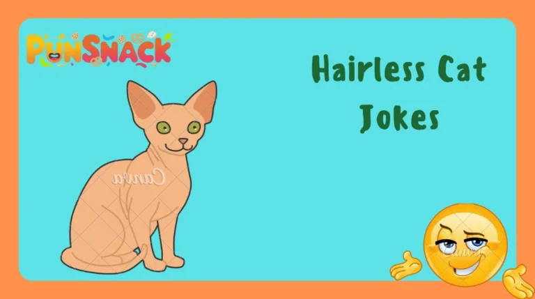 Hairless Cat Jokes