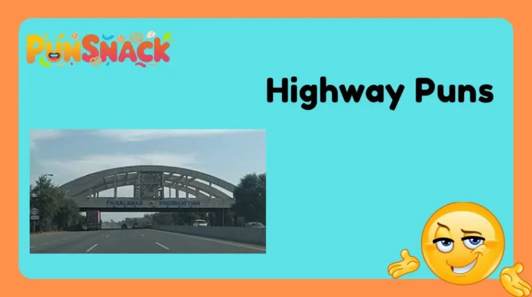 Highway Puns