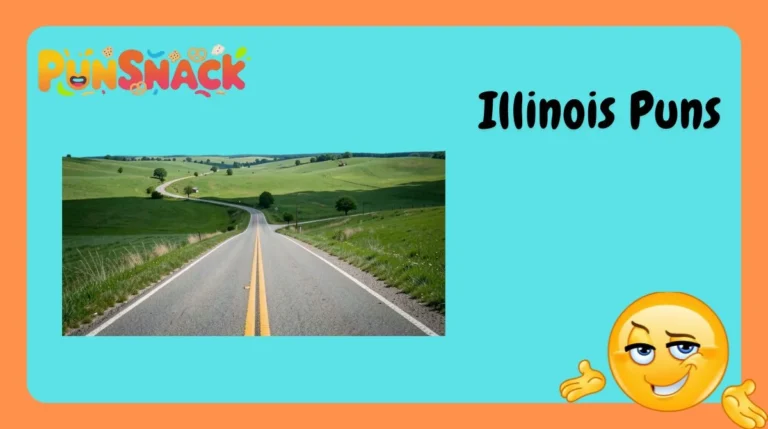 Illinois Puns