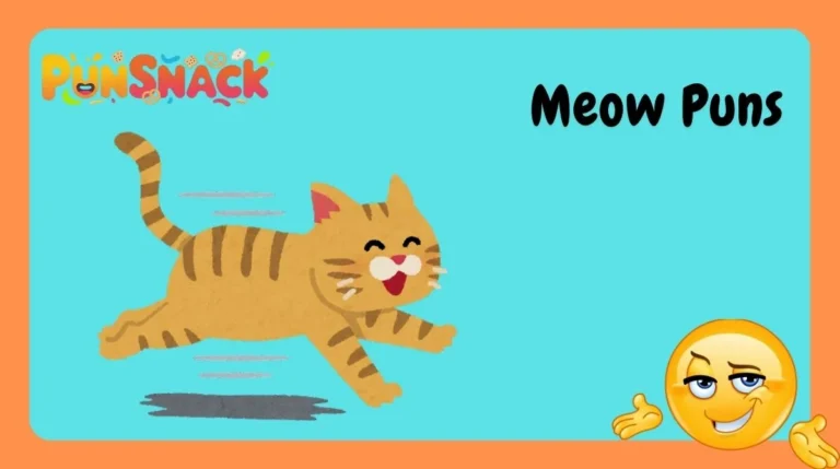 Meow Puns
