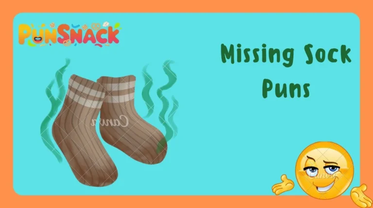Missing Sock Puns