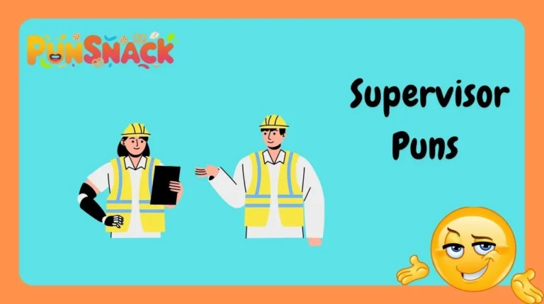 Supervisor Puns