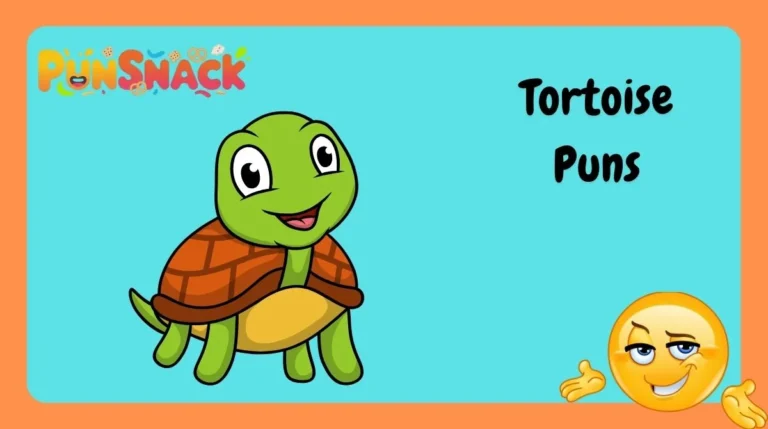 Tortoise Puns